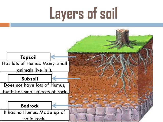 what-are-some-types-of-soil-5-638